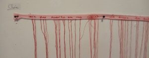 Exposiciones Individuales